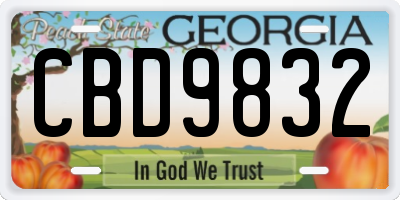 GA license plate CBD9832