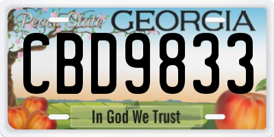 GA license plate CBD9833