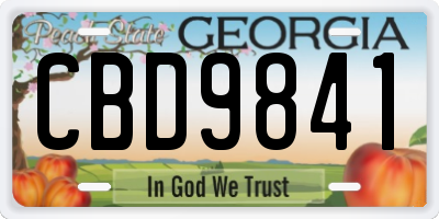 GA license plate CBD9841