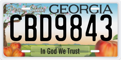 GA license plate CBD9843