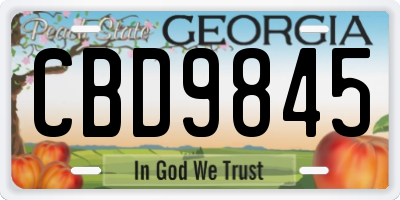 GA license plate CBD9845