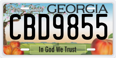 GA license plate CBD9855