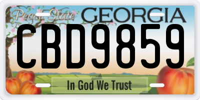 GA license plate CBD9859