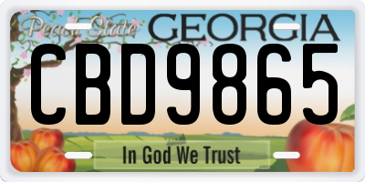 GA license plate CBD9865