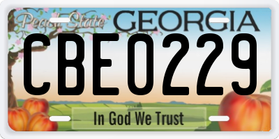 GA license plate CBE0229