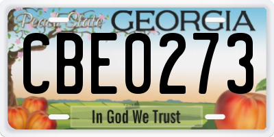 GA license plate CBE0273