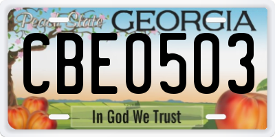 GA license plate CBE0503