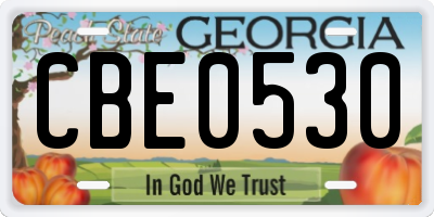 GA license plate CBE0530