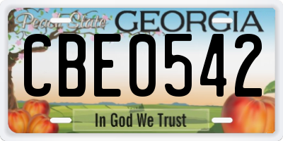 GA license plate CBE0542