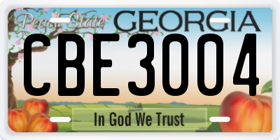 GA license plate CBE3004