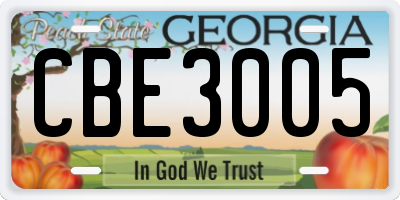 GA license plate CBE3005