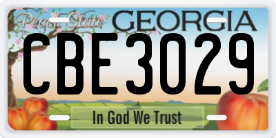 GA license plate CBE3029