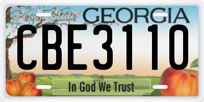GA license plate CBE3110