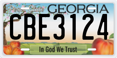 GA license plate CBE3124