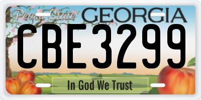 GA license plate CBE3299