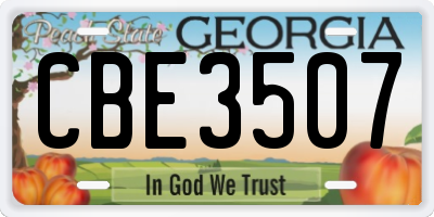 GA license plate CBE3507