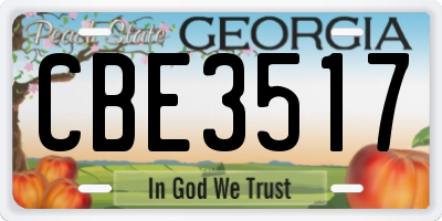 GA license plate CBE3517