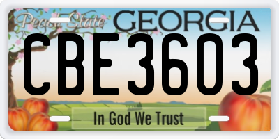 GA license plate CBE3603