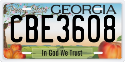 GA license plate CBE3608