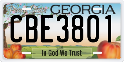 GA license plate CBE3801