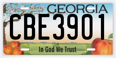 GA license plate CBE3901