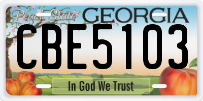 GA license plate CBE5103