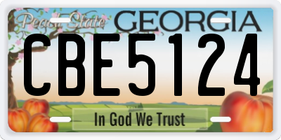 GA license plate CBE5124