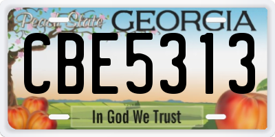GA license plate CBE5313