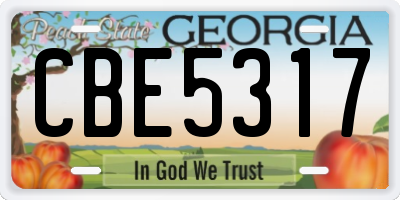 GA license plate CBE5317