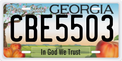 GA license plate CBE5503