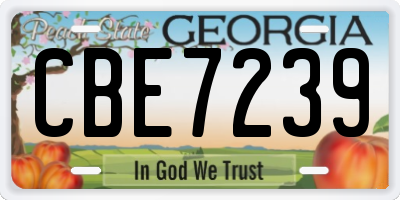 GA license plate CBE7239