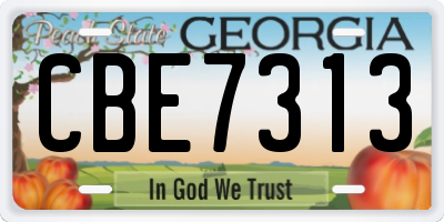 GA license plate CBE7313