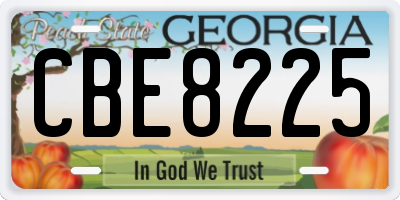 GA license plate CBE8225