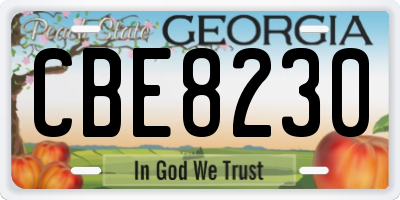 GA license plate CBE8230