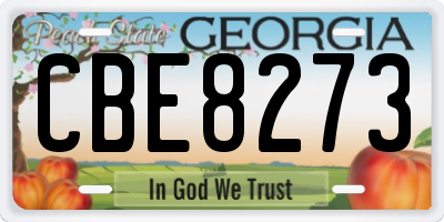 GA license plate CBE8273