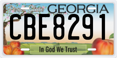 GA license plate CBE8291