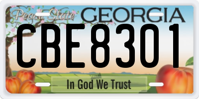 GA license plate CBE8301