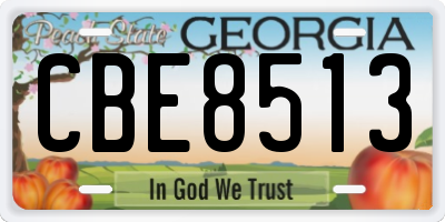 GA license plate CBE8513