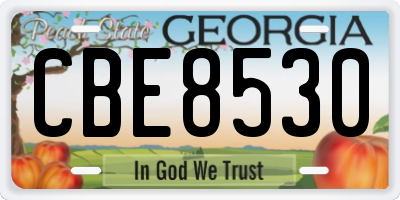 GA license plate CBE8530