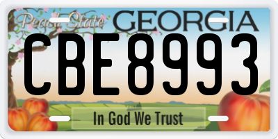 GA license plate CBE8993