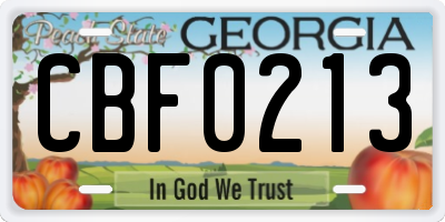 GA license plate CBF0213