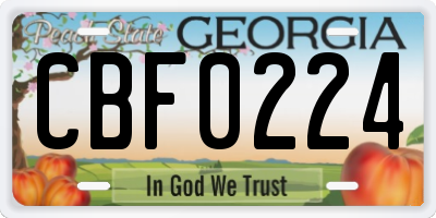 GA license plate CBF0224