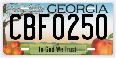 GA license plate CBF0250