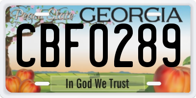 GA license plate CBF0289