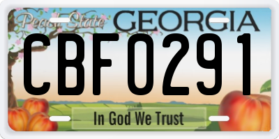 GA license plate CBF0291