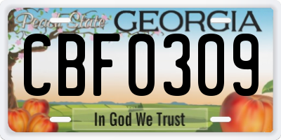 GA license plate CBF0309