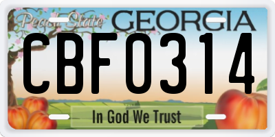GA license plate CBF0314