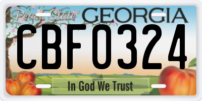 GA license plate CBF0324