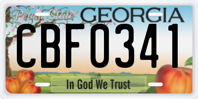 GA license plate CBF0341