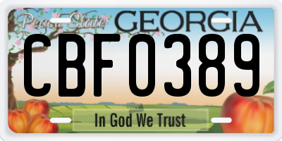 GA license plate CBF0389